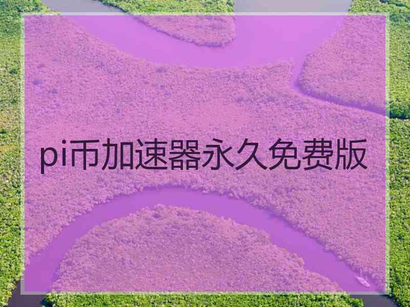 pi币加速器永久免费版