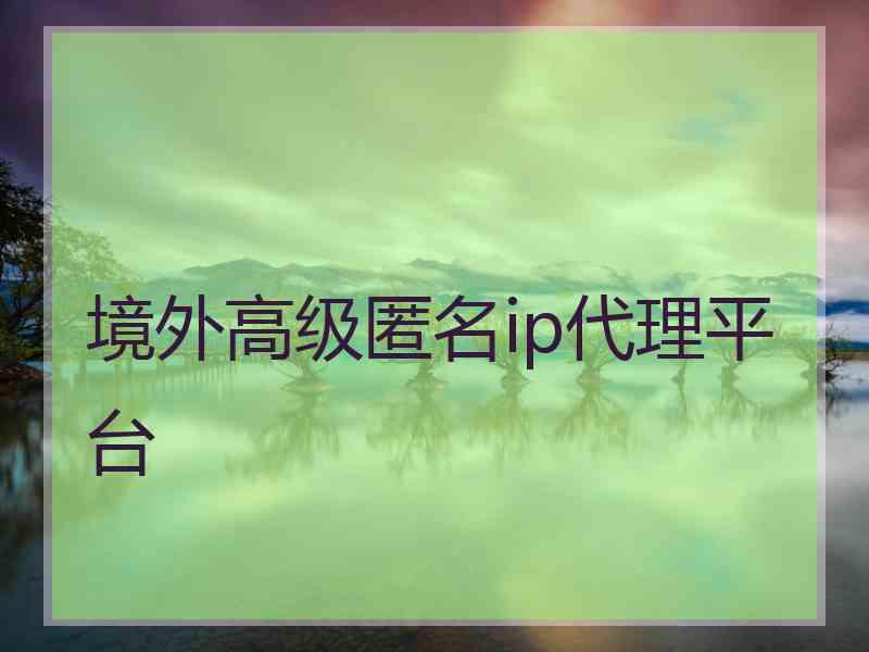 境外高级匿名ip代理平台