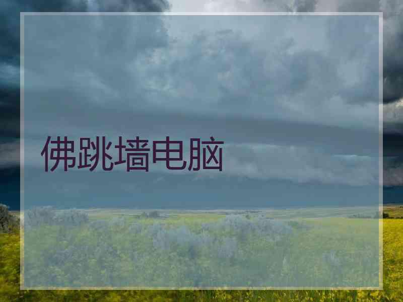 佛跳墙电脑