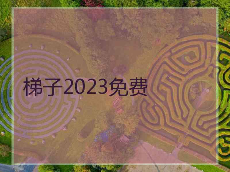 梯子2023免费