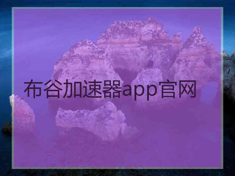 布谷加速器app官网