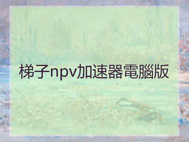 梯子npv加速器電腦版