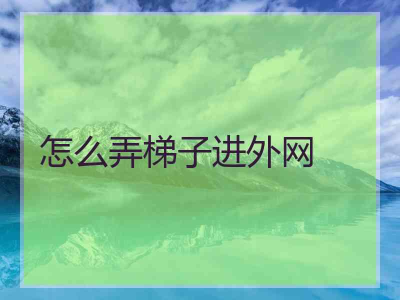 怎么弄梯子进外网