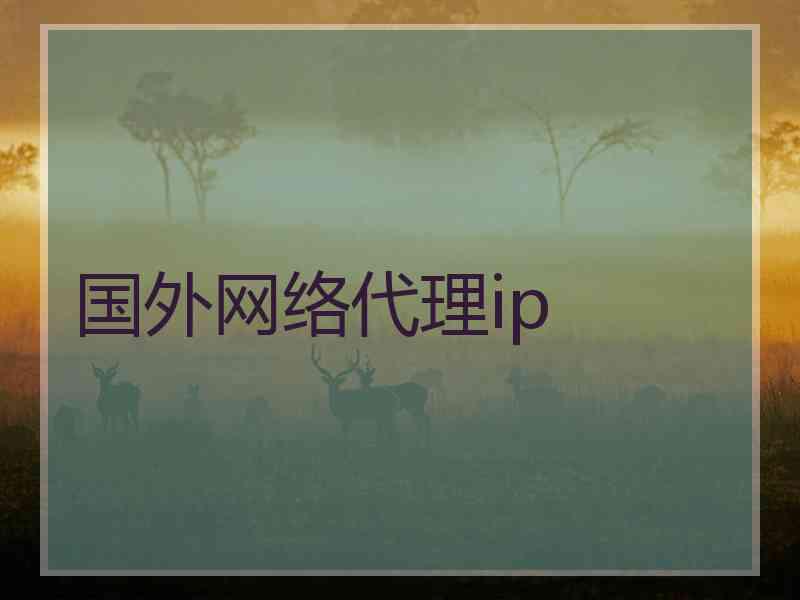 国外网络代理ip