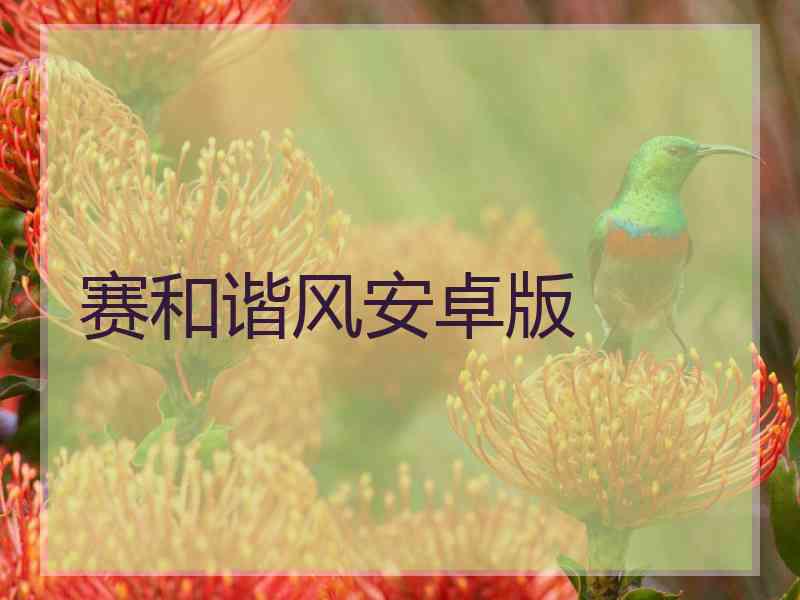 赛和谐风安卓版