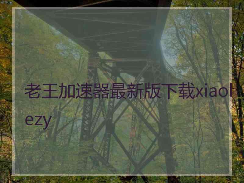 老王加速器最新版下载xiaolezy