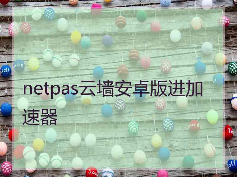netpas云墙安卓版进加速器