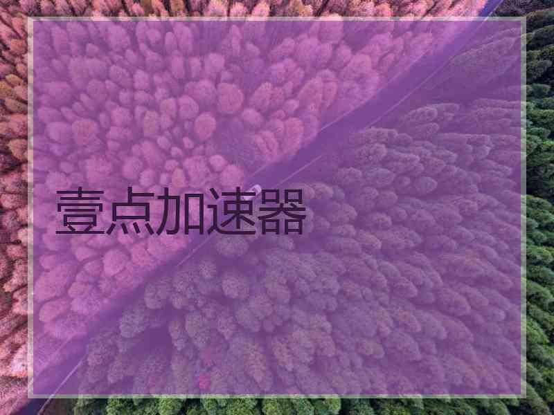 壹点加速器