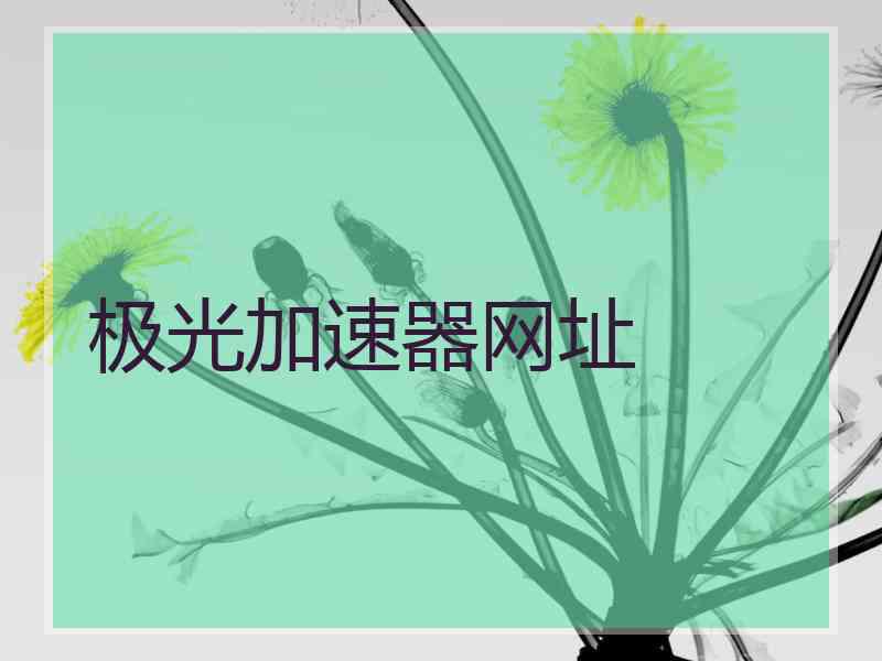 极光加速器网址