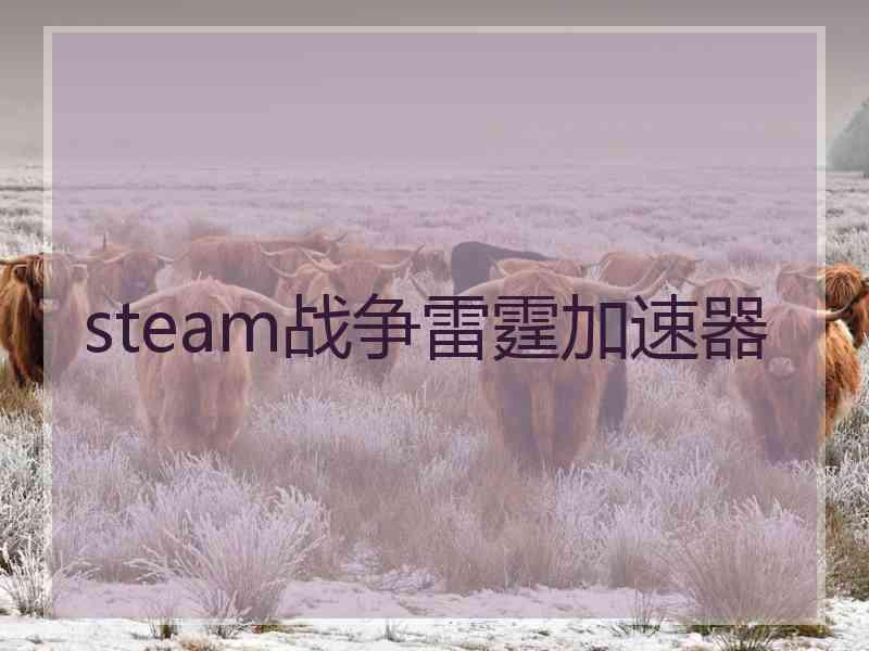 steam战争雷霆加速器