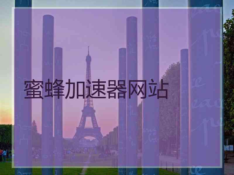 蜜蜂加速器网站