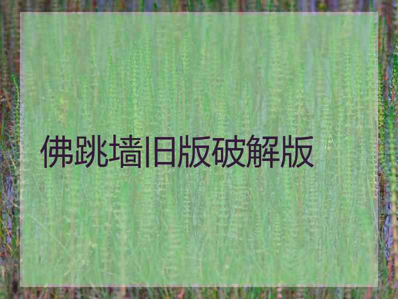 佛跳墙旧版破解版