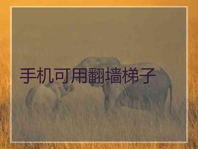 手机可用翻墙梯子