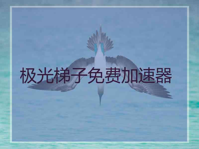 极光梯子免费加速器