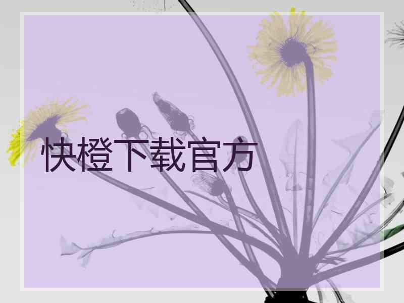 快橙下载官方