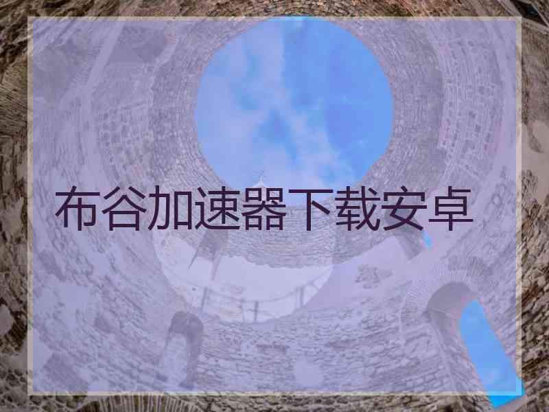 布谷加速器下载安卓