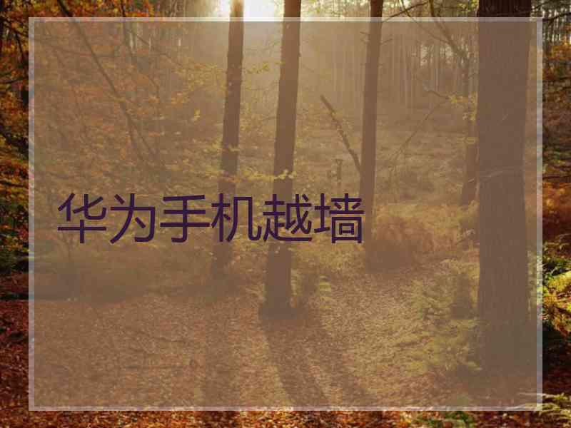 华为手机越墙