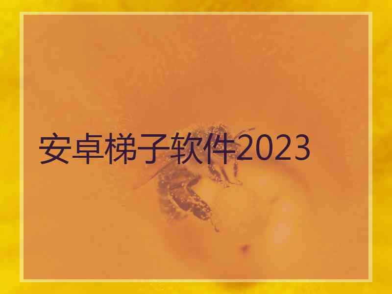 安卓梯子软件2023