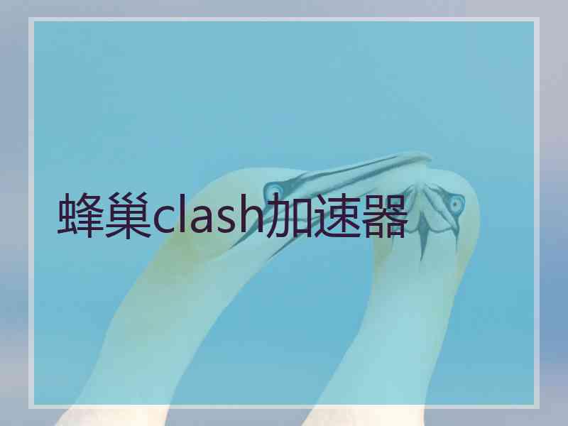 蜂巢clash加速器