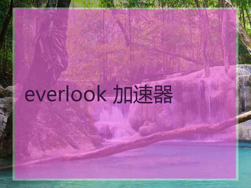 everlook 加速器