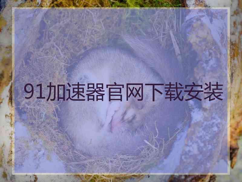 91加速器官网下载安装