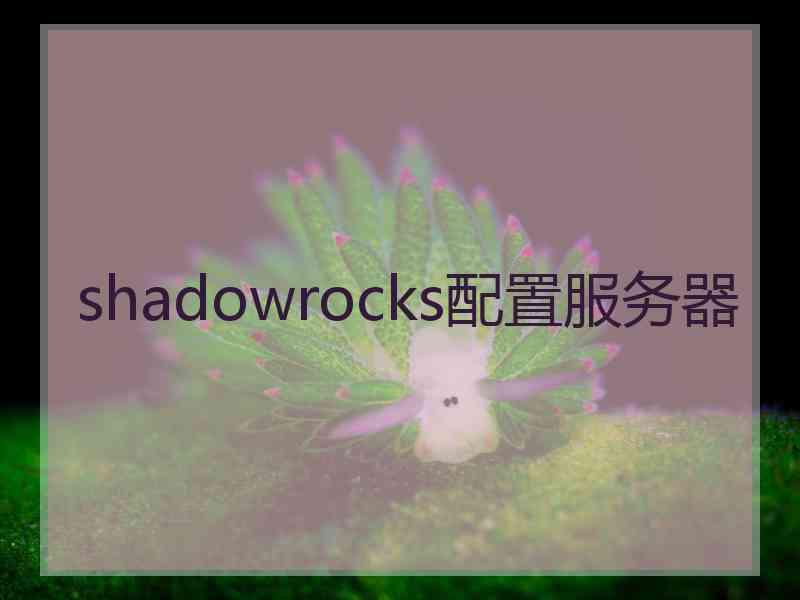 shadowrocks配置服务器