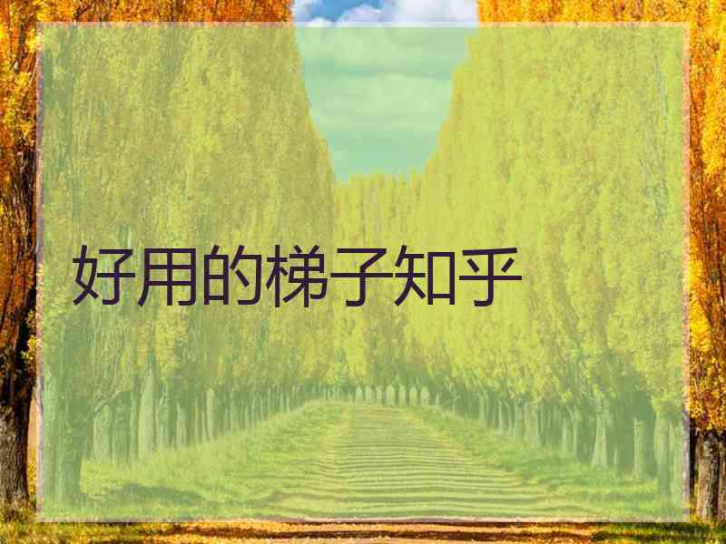 好用的梯子知乎