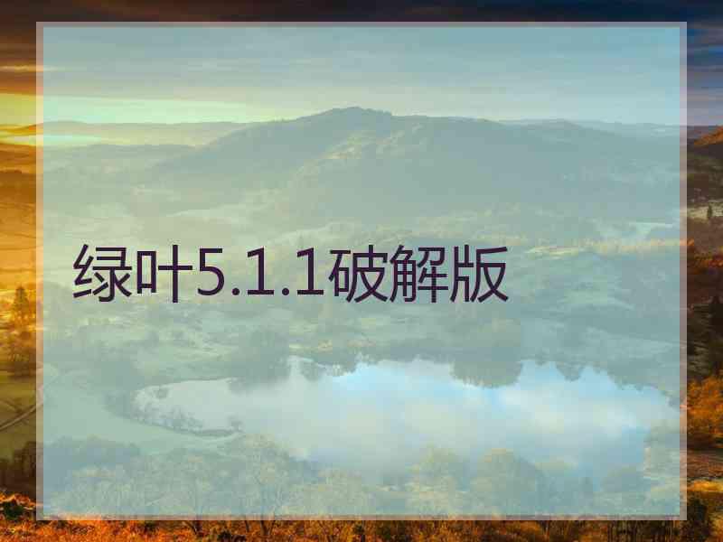 绿叶5.1.1破解版