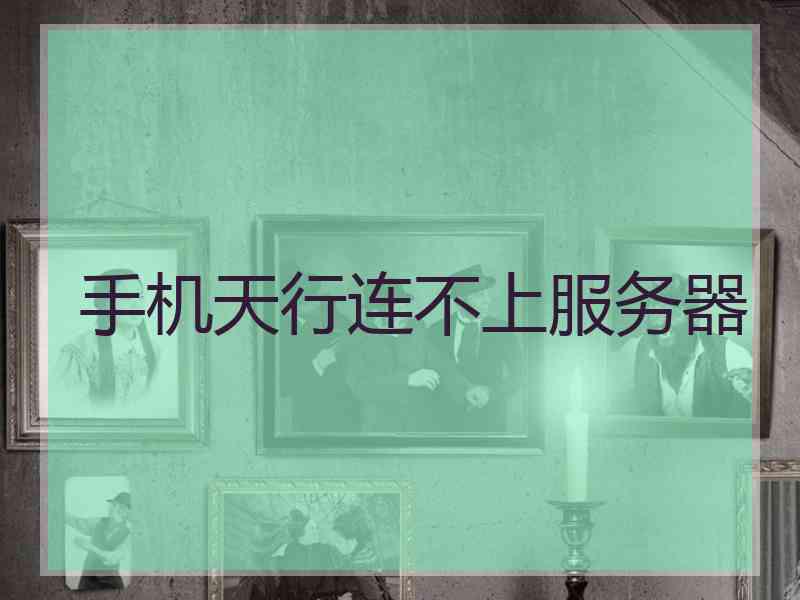 手机天行连不上服务器