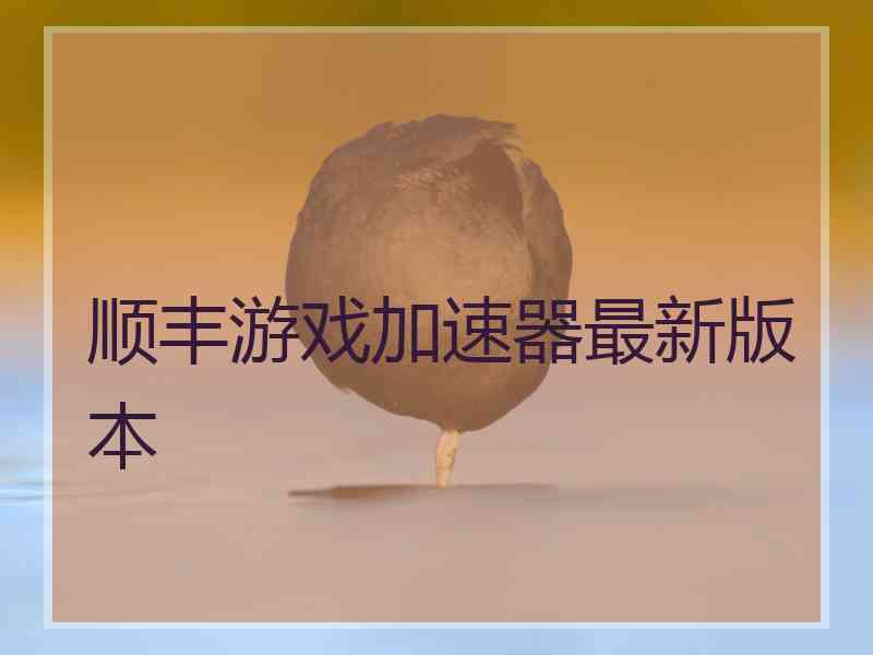 顺丰游戏加速器最新版本