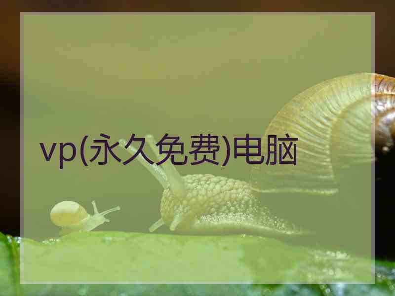 vp(永久免费)电脑