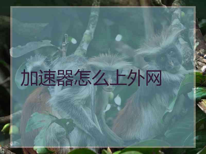 加速器怎么上外网