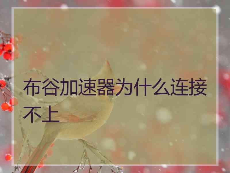 布谷加速器为什么连接不上