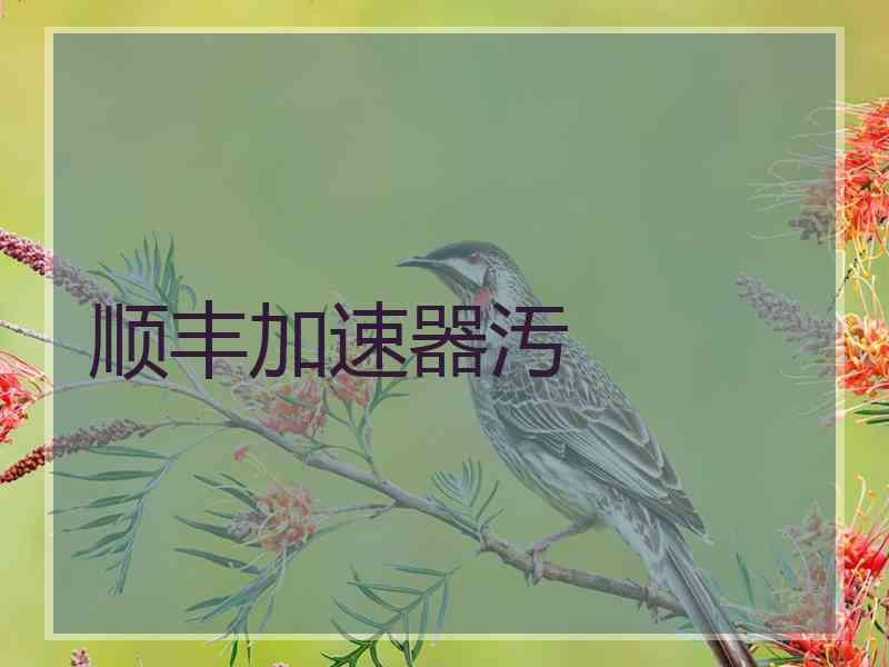顺丰加速器汚