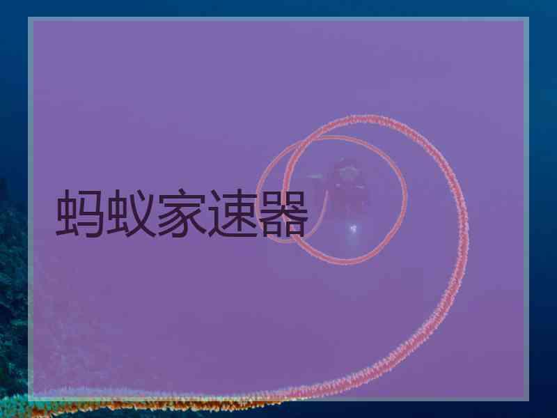 蚂蚁家速器