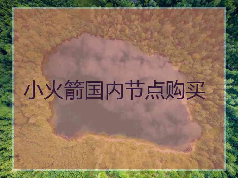 小火箭国内节点购买