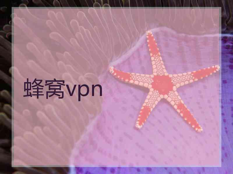 蜂窝vpn