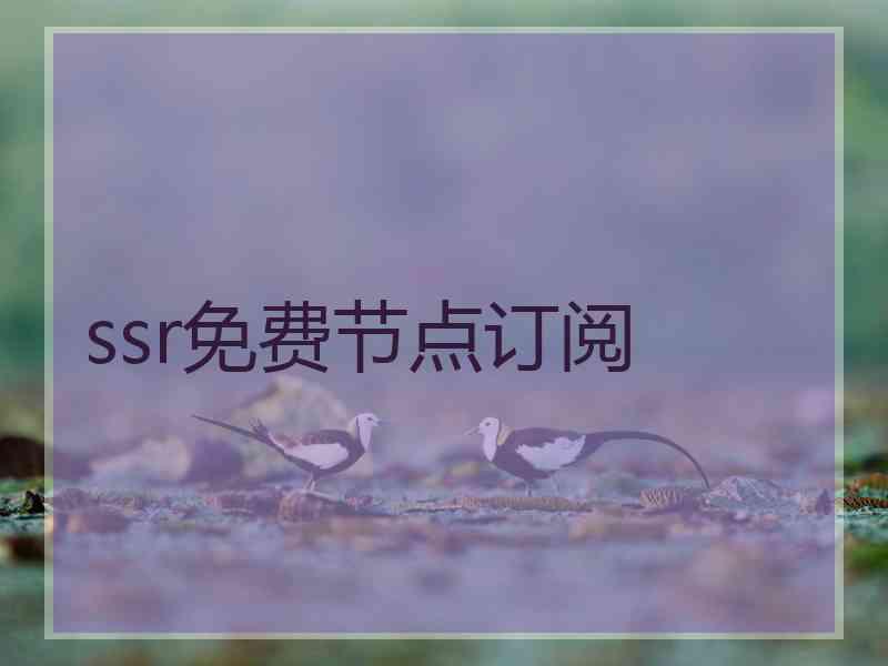 ssr免费节点订阅