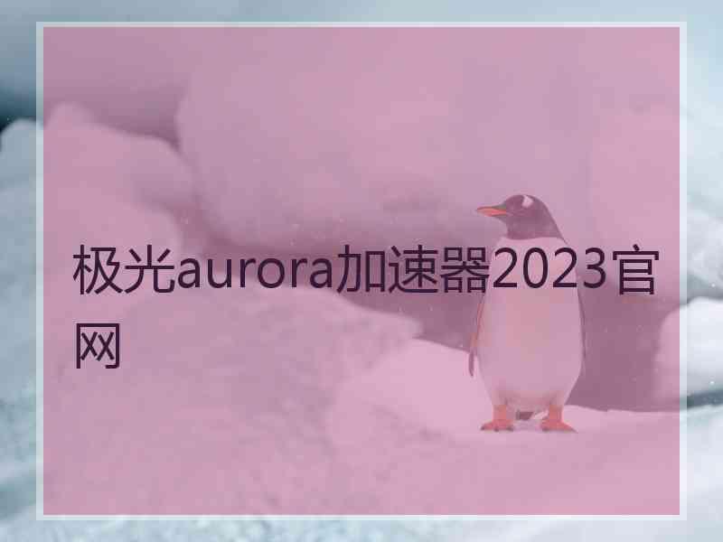 极光aurora加速器2023官网