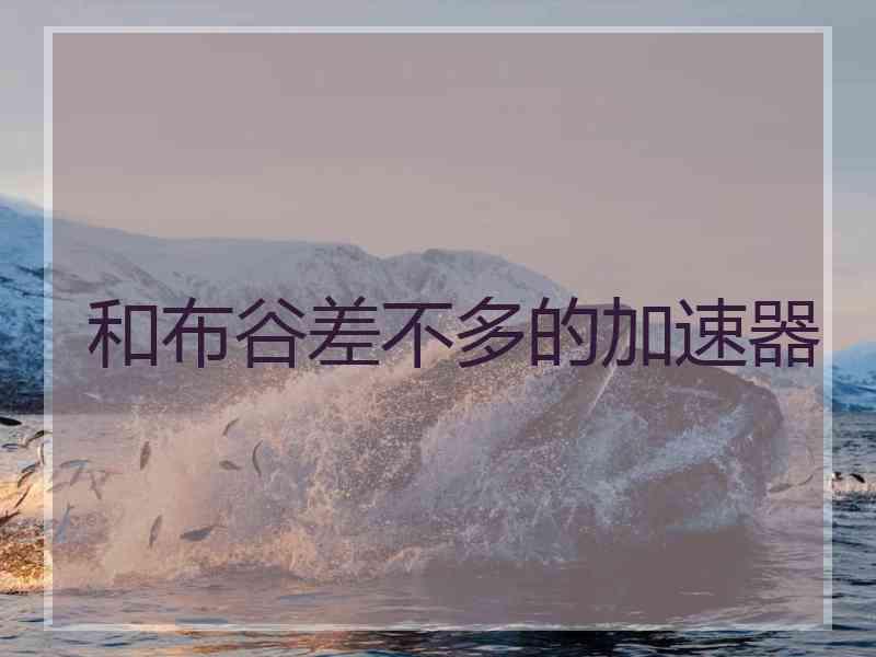 和布谷差不多的加速器