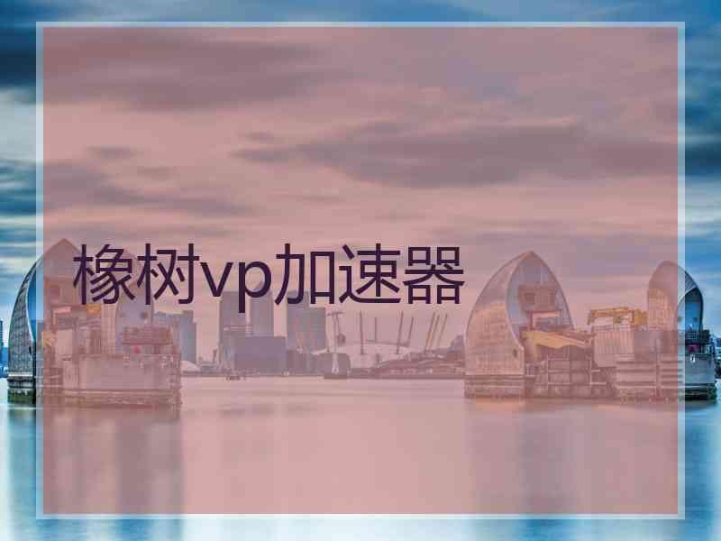 橡树vp加速器