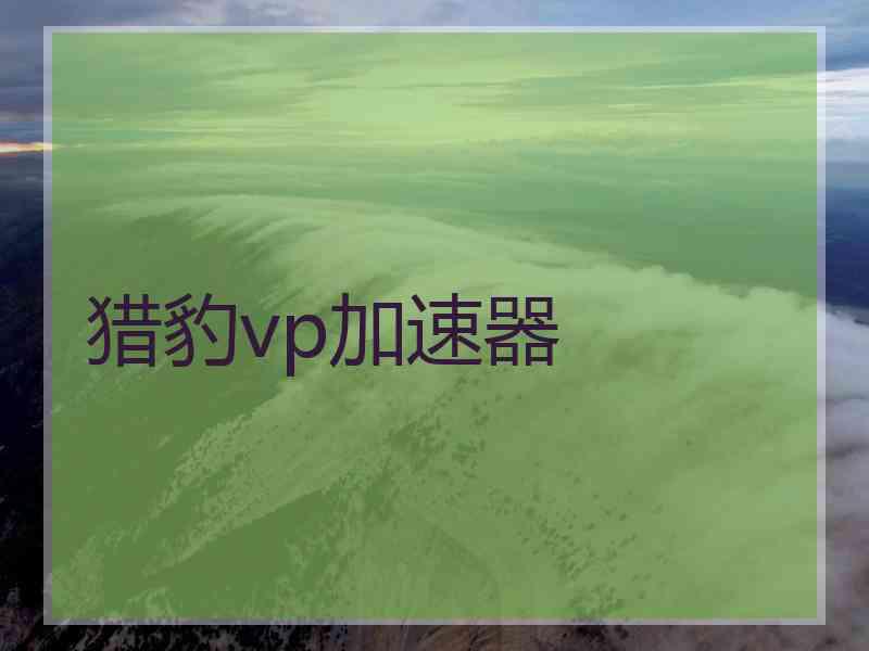 猎豹vp加速器