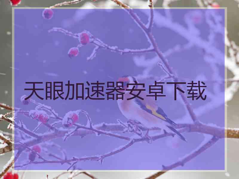 天眼加速器安卓下载