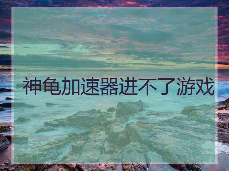 神龟加速器进不了游戏