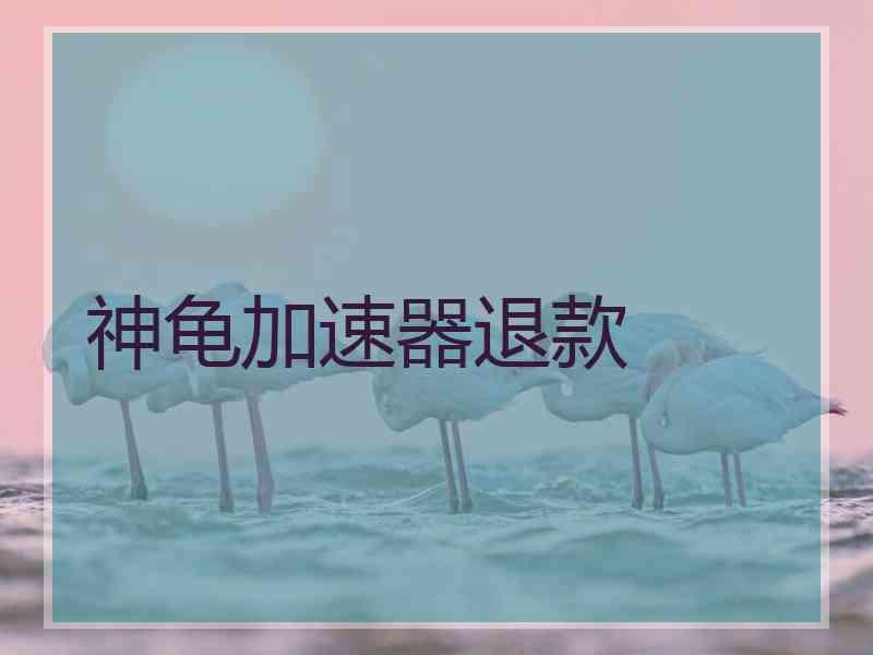 神龟加速器退款