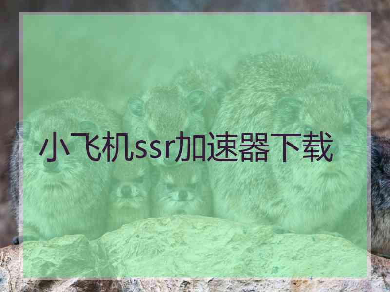 小飞机ssr加速器下载