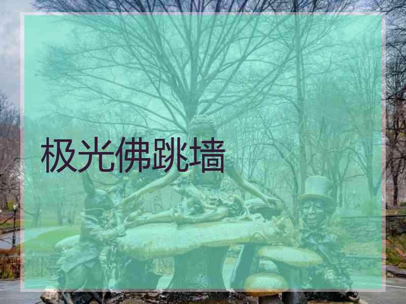 极光佛跳墙