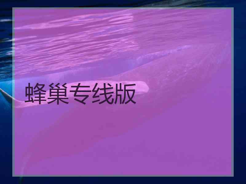 蜂巢专线版