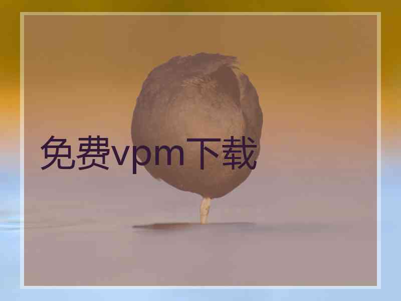免费vpm下载