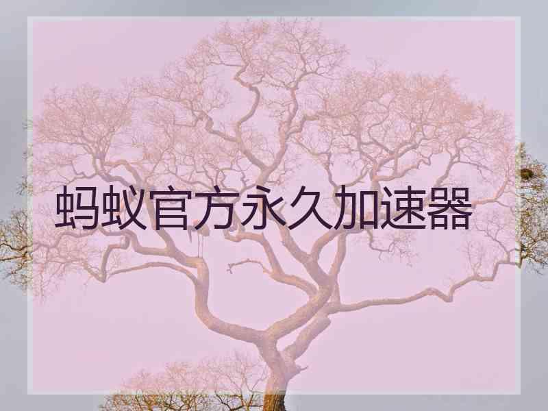 蚂蚁官方永久加速器